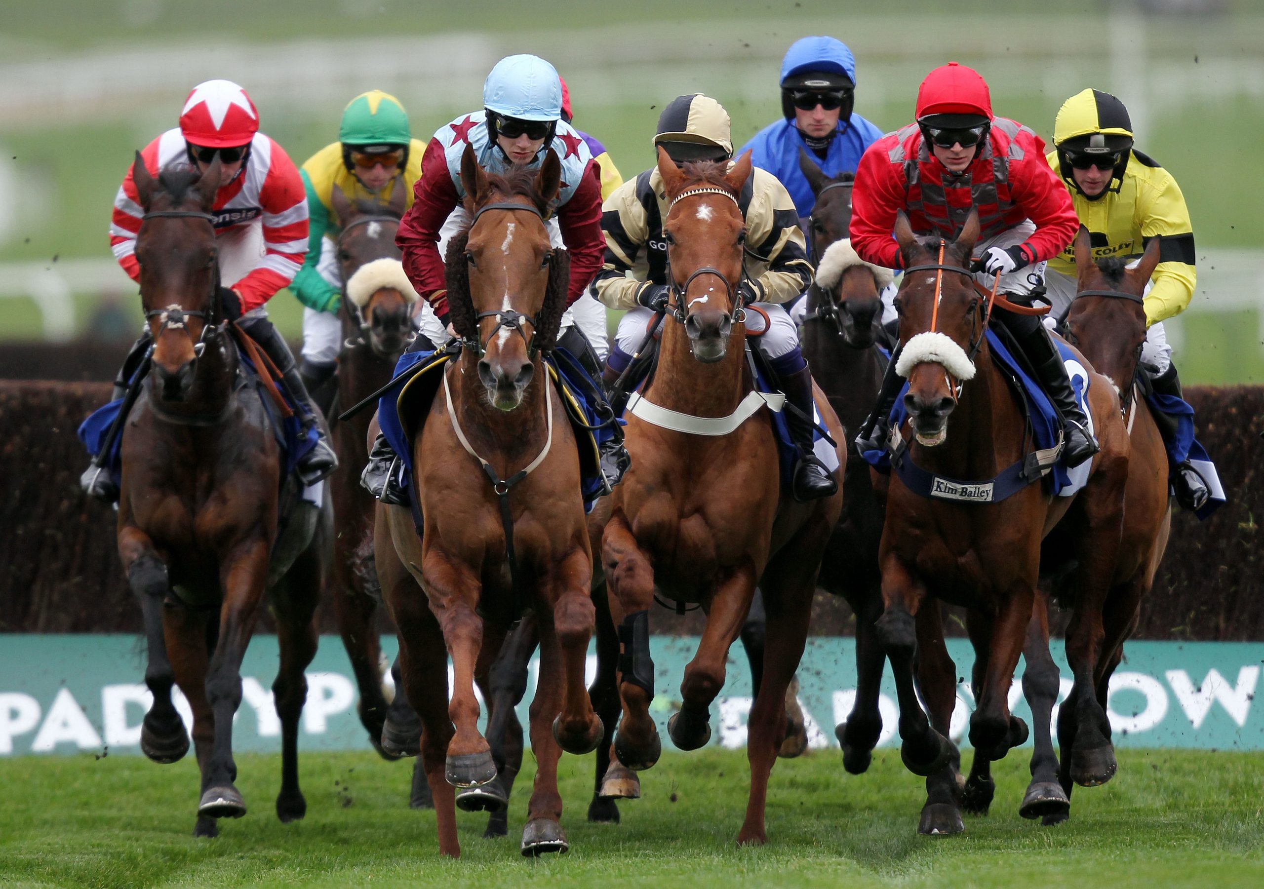 Horse Racing Horse Racing