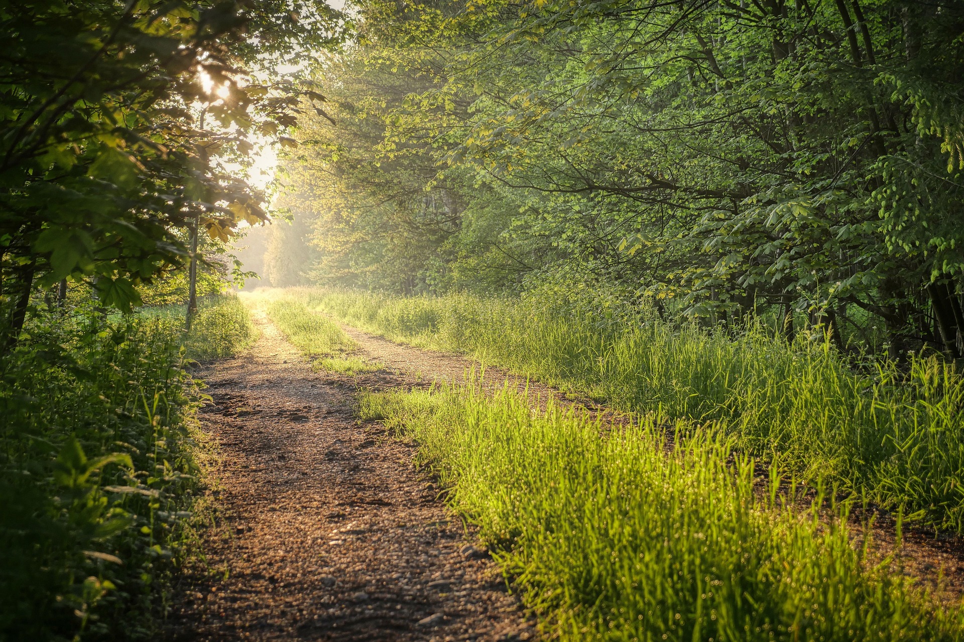 meadow walk wellbeing meadow walk wellbeing