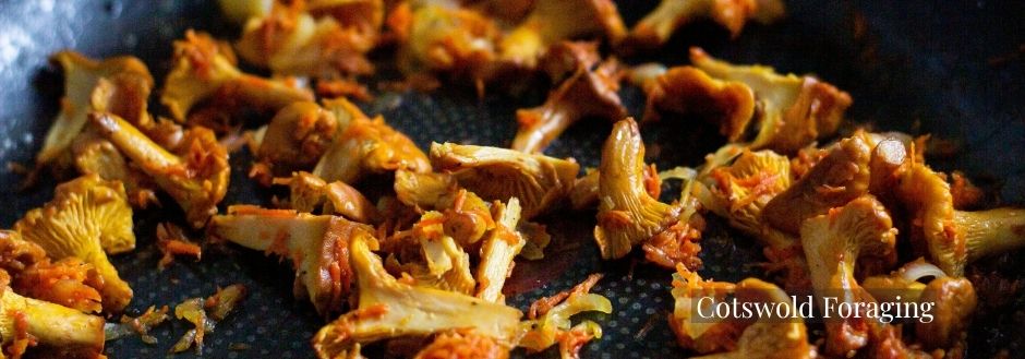 Cotswold Foraging Chanterelles Gourmet Luxury Food Mushrooms Lower Mill Estate Cotswold Foraging Chanterelles Gourmet Luxury Food Mushrooms Lower Mill Estate